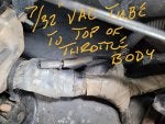 Vertebrate Automotive tire Motor vehicle Handwriting Tread
